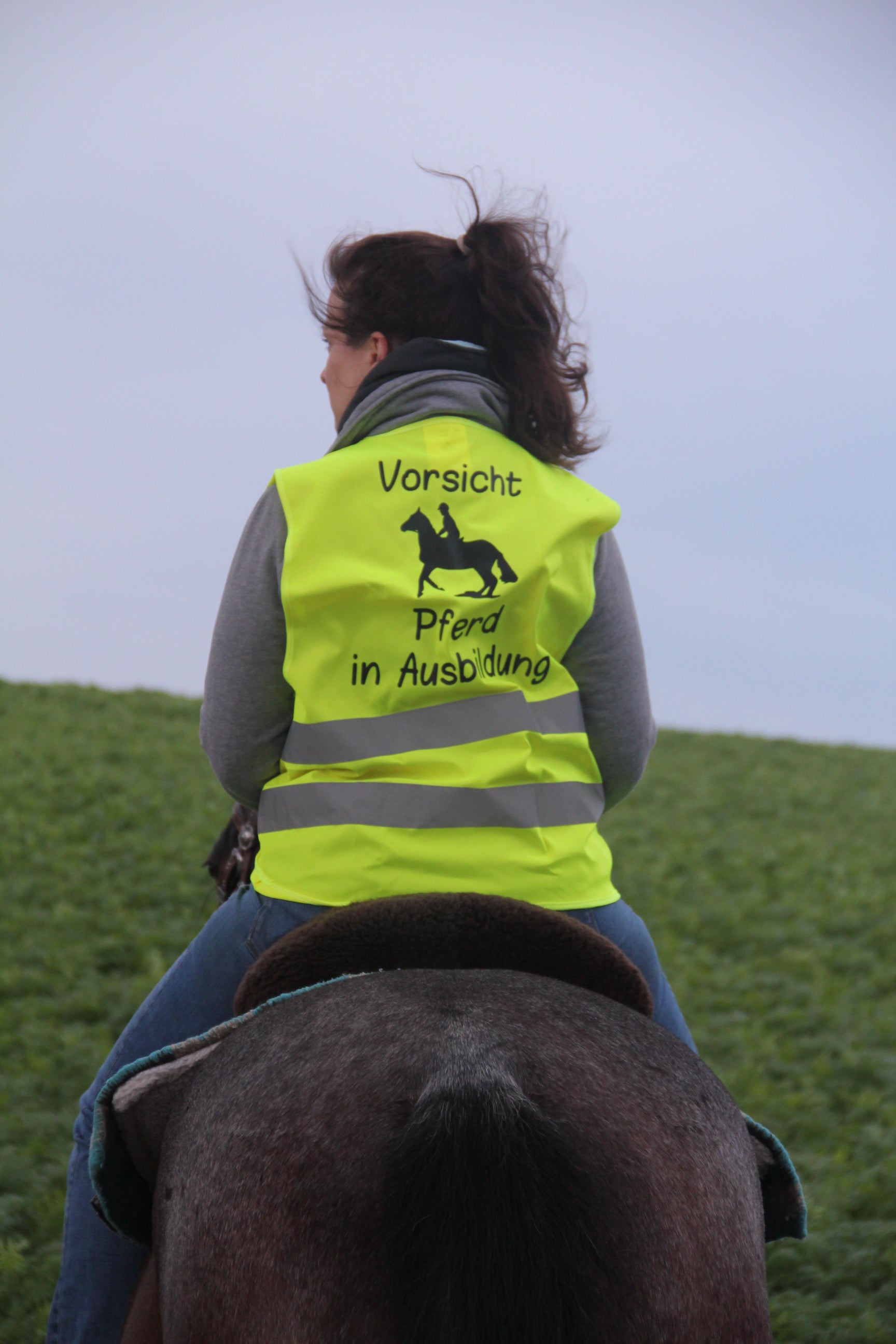 Reiten & Pferde