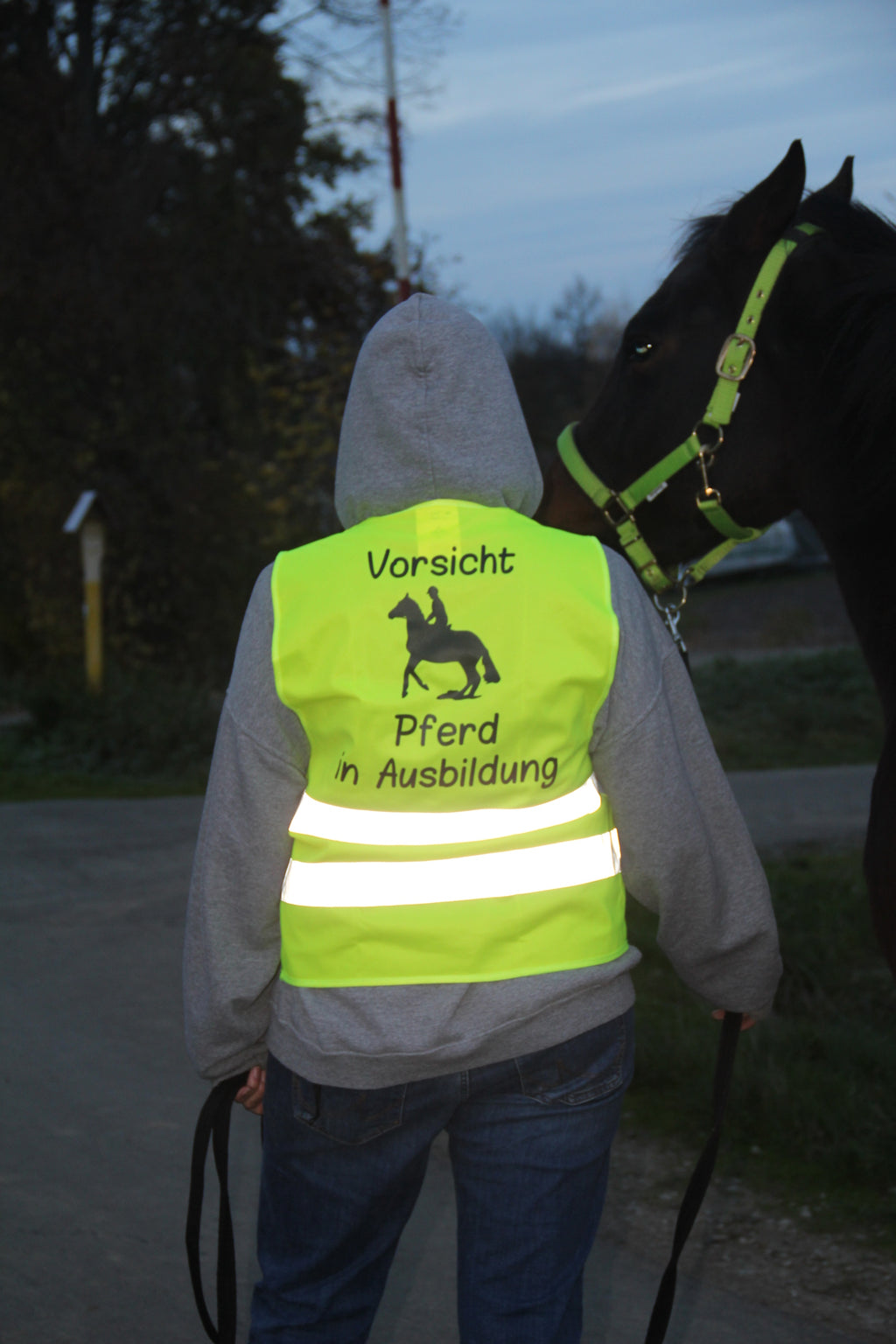 Warnweste "Vorsicht Pferd in Ausbildung!"