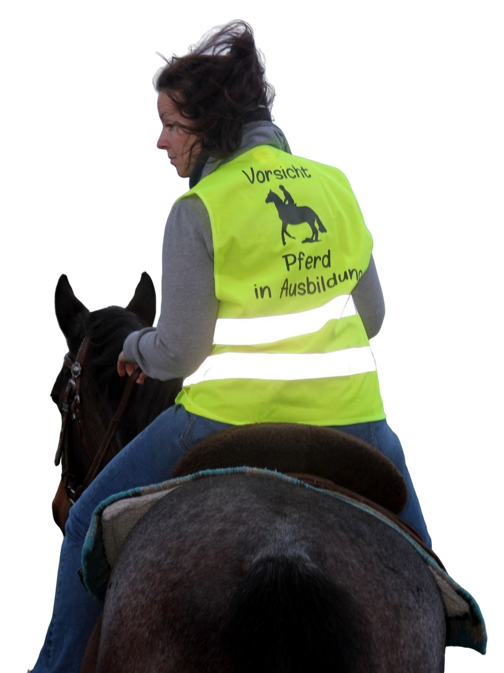 Warnweste "Vorsicht Pferd in Ausbildung!"