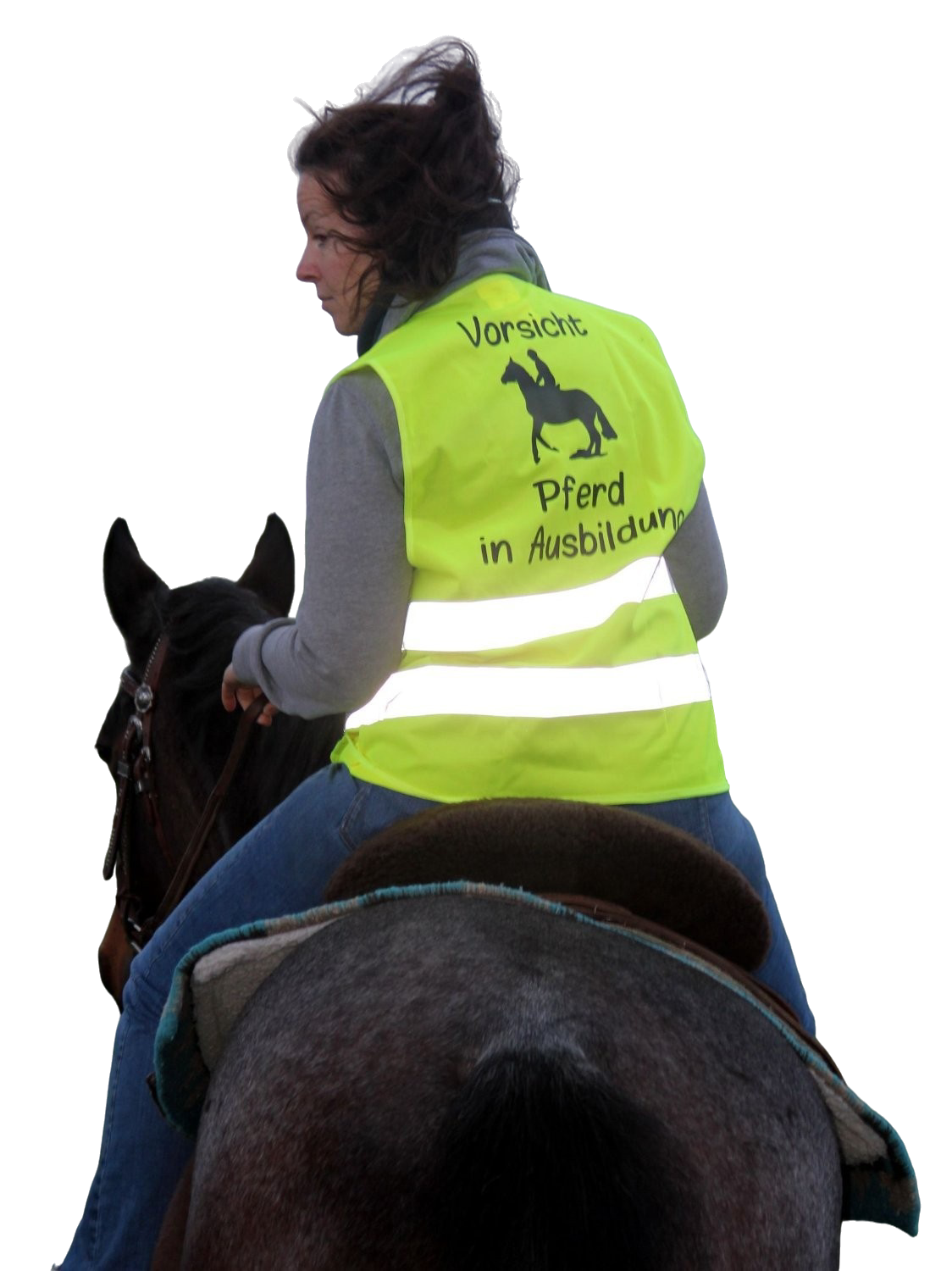 Warnweste "Vorsicht Pferd in Ausbildung!"
